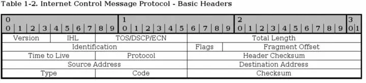All packets contain some basic values from the IP headers discussed previously - фото 1