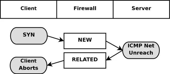 In the above example we send out a SYN packet to a specific address This is - фото 37