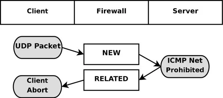 This time an UDP packet is sent to the host This UDP connection is considered - фото 38