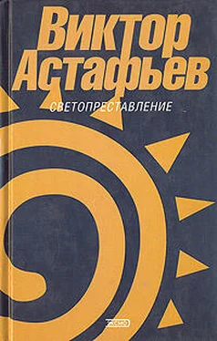 Виктор Астафьев Голубое поле под голубыми небесами обложка книги