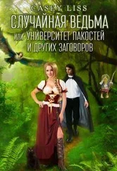Кэйси Лисс - Случайная ведьма или Университет Заговоров и других Пакостей