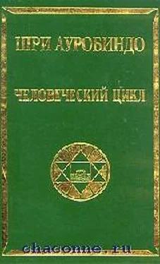 Шри Ауробиндо Человеческий цикл обложка книги