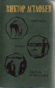 Виктор Астафьев Стародуб обложка книги