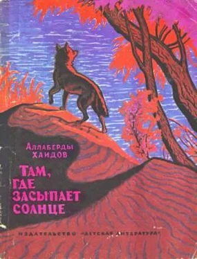 Аллаберды Хаидов Там, где засыпает солнце обложка книги