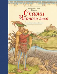 Якоб Гримм - Сказки Черного леса [сборник]