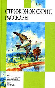 Виктор Астафьев Стрижонок Скрип обложка книги