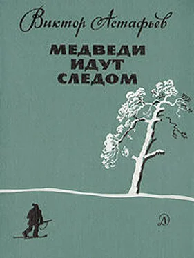 Виктор Астафьев Медведи идут следом обложка книги