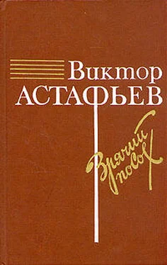 Виктор Астафьев Зрячий посох обложка книги