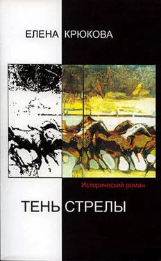 Елена Крюкова Тень стрелы обложка книги