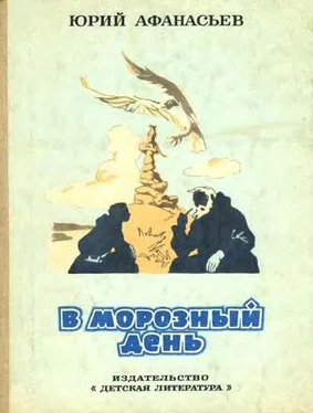 Юрий Афанасьев В морозный день обложка книги