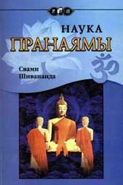 Свами Шивананда Наука Пранаямы обложка книги