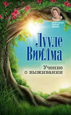 Лууле Виилма Учение о выживании обложка книги