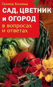 Галина Кизима Сад, цветник и огород в вопросах и ответах обложка книги