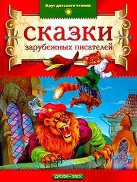 Петер Асбьернсен Рассказы Берты Туппенхаук обложка книги