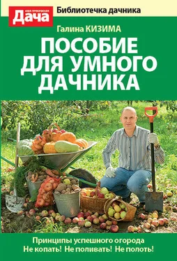 Галина Кизима Пособие для умного дачника обложка книги