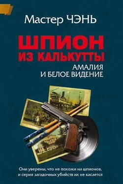 Мастер Чэнь Шпион из Калькутты. Амалия и Белое видение обложка книги