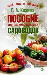 Галина Кизима - Пособие для разумно ленивых садоводов