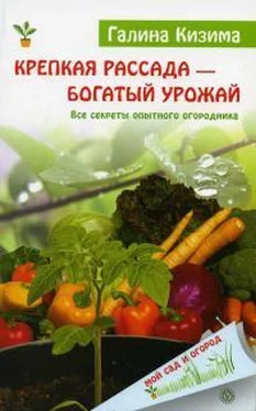 Галина Кизима Крепкая рассада – богатый урожай. Все секреты опытного огородника обложка книги