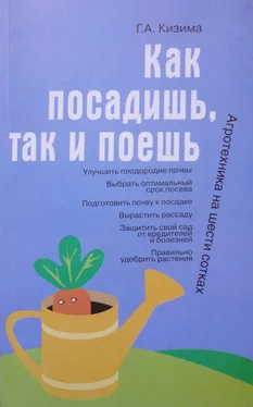 Галина Кизима Как посадишь, так и поешь обложка книги