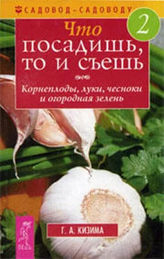 Галина Кизима Что посадишь, то и съешь. Часть 2. Корнеплоды, луки, чесноки и огородная зелень