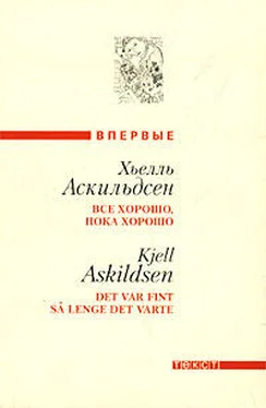 Хьелль Аскильдсен Штырь в старой вишне обложка книги