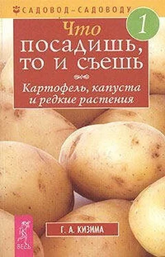 Галина Кизима Что посадишь, то и съешь. Часть 1. Картофель, капуста и редкие растения обложка книги