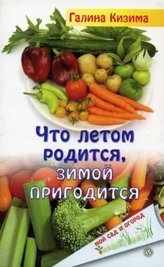 Галина Кизима Что летом родится, зимой пригодится обложка книги