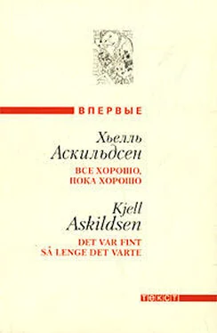 Хьелль Аскильдсен Внезапная спасительная мысль обложка книги