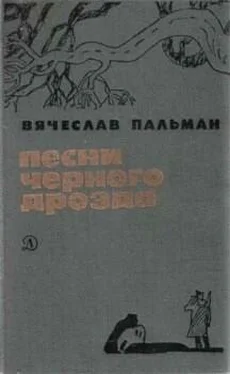 Вячеслав Пальман Там, за рекой обложка книги