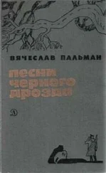 Вячеслав Пальман - Восточный кордон