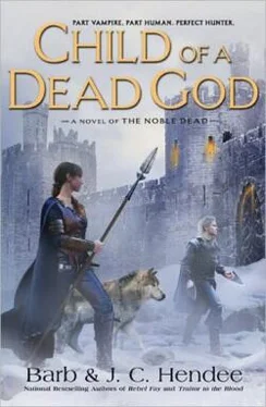 Barb Hendee Child of a Dead God обложка книги