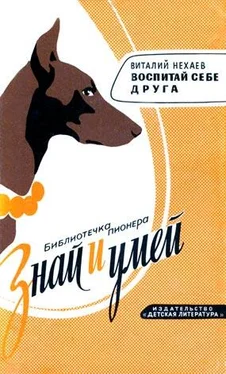 Виталий Нехаев Воспитай себе друга обложка книги