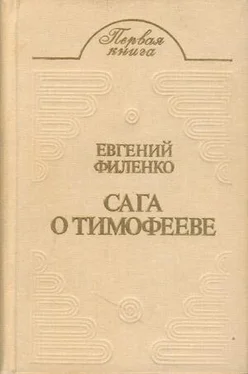 Евгений Филенко Бой на Калиновом мосту обложка книги