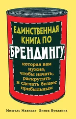 Лииса Пуолакка - Единственная книга по брендингу, которая вам нужна, чтобы начать, раскрутить и сделать бизнес прибыльным