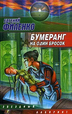 Евгений Филенко Бумеранг на один бросок обложка книги
