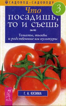 Галина Кизима Что посадишь, то и съешь. Часть 3. Томаты, тыквы и родственные им культуры обложка книги