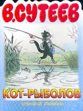 Владимир Сутеев Кот-рыболов обложка книги