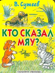 Владимир Сутеев - Кто сказал «Мяу»? (рис. Сутеева, изд.1)