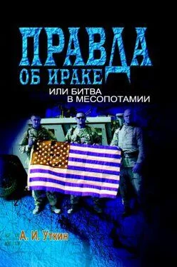 А. Уткин Правда об Ираке или Битва в Месопотамии обложка книги