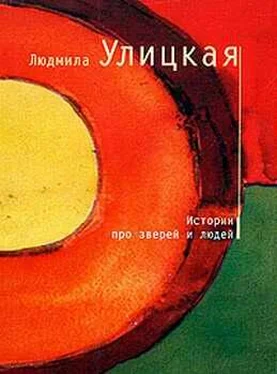 Людмила Улицкая Истории про зверей и людей (сборник) обложка книги