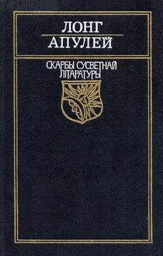 Апулей Метамарфозы, цi Залаты асёл (на белорусском языке) обложка книги