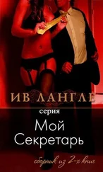 Ив Лангле - Мой секретарь (ЛП)