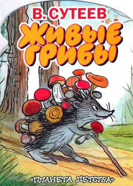 Владимир Сутеев Живые грибы обложка книги