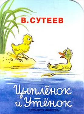 Владимир Сутеев Цыпленок и Утенок обложка книги