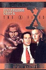 Сергей Бережной - Последняя охота