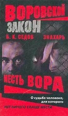 Борис Седов Месть вора