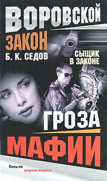 Борис Седов Гроза мафии обложка книги