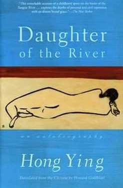 Hong Ying Daughter of the River (chinese) обложка книги