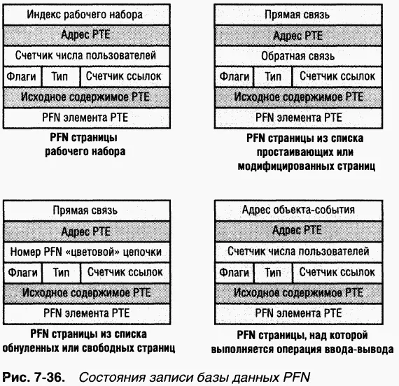 Некоторые поля одинаковы для нескольких типов PFN другие специфичны для - фото 209