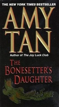 Amy Tan The Bonesetter's Daughter обложка книги